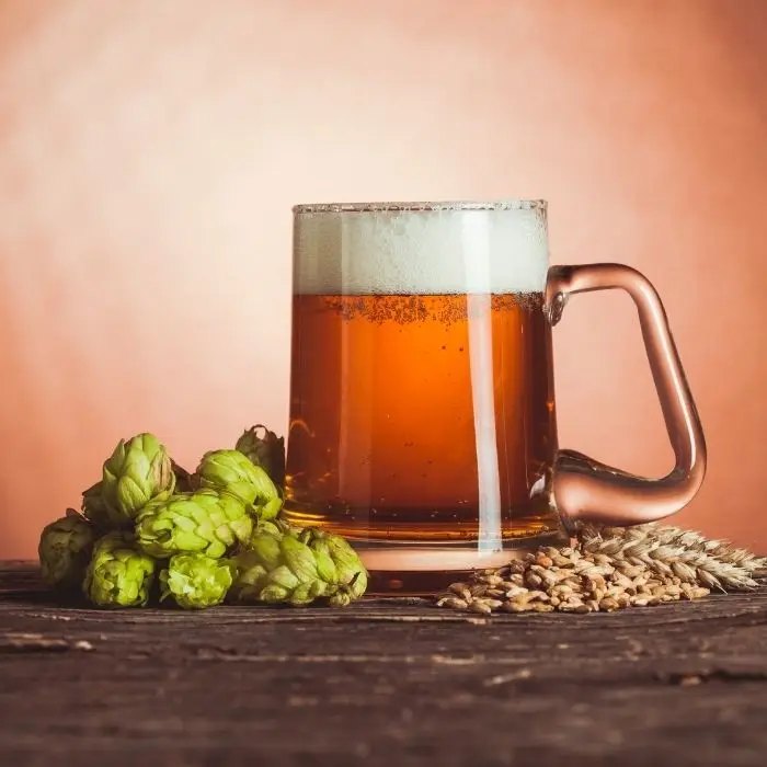 Beer with hops and barley