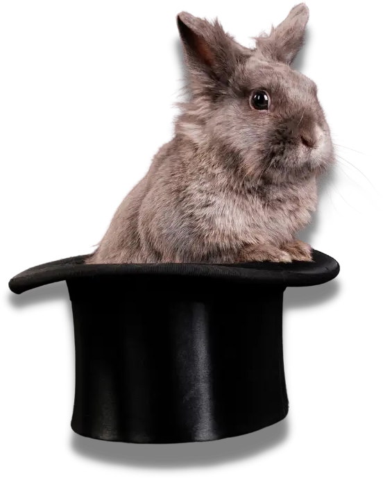 Magic rabbit in a top hat